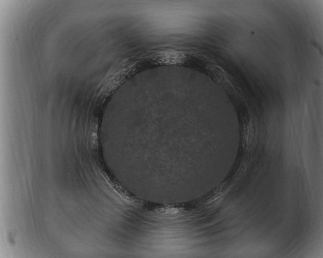 X0000103320553200809121150