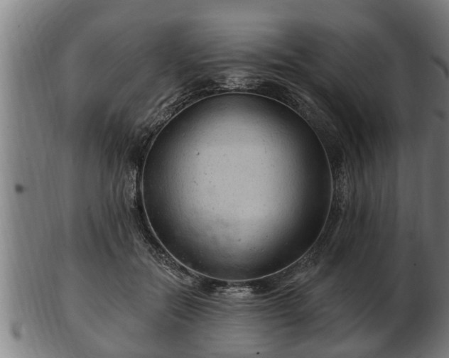 X0000103320554200809121150