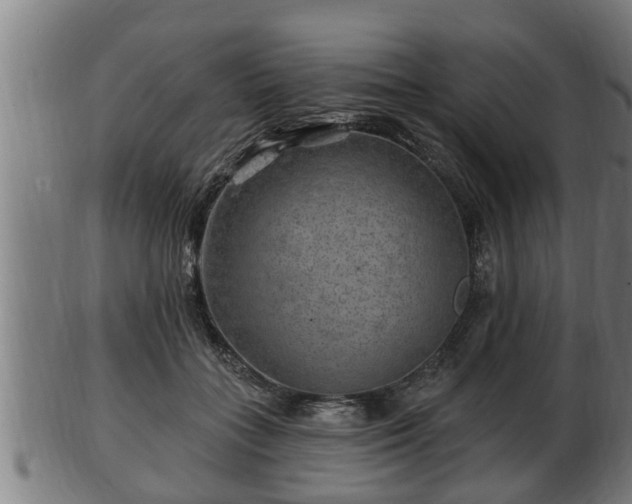 X0000103320555200809121150