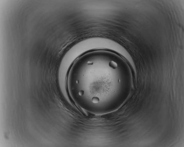 X0000103320556200809121150