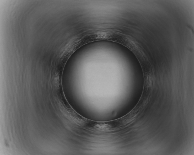 X0000103320557200809121150