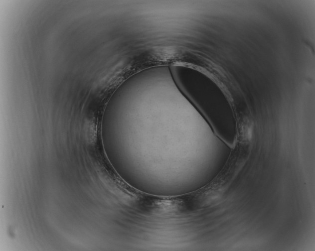 X0000103320558200809121150