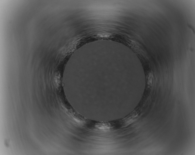 X0000103320559200809121150