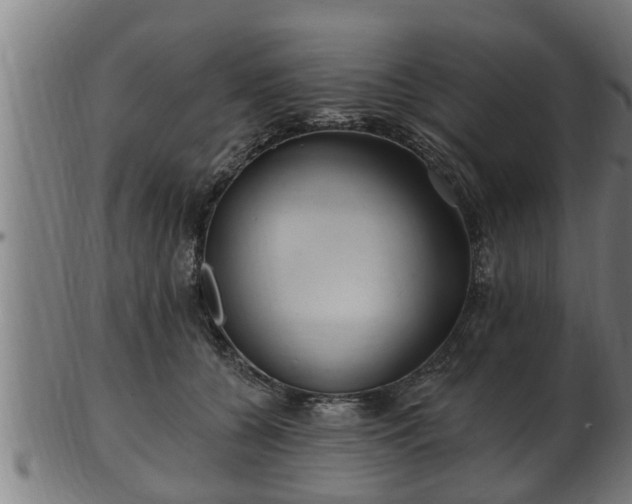 X0000103320560200809121150