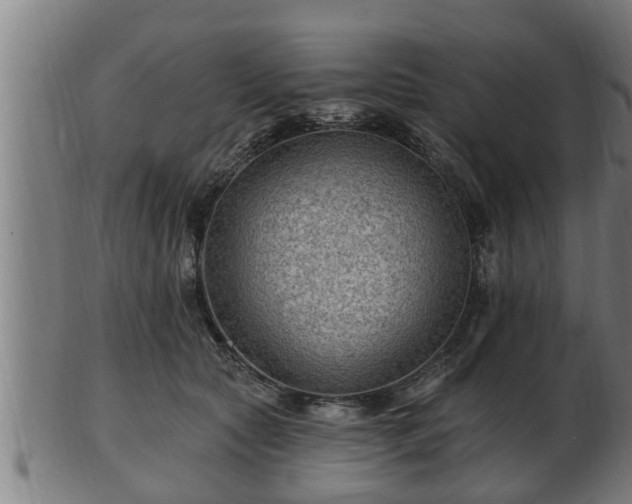 X0000103320561200809121150