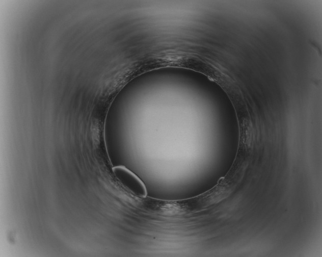 X0000103320562200809121150