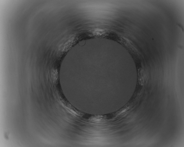 X0000103320563200809121150