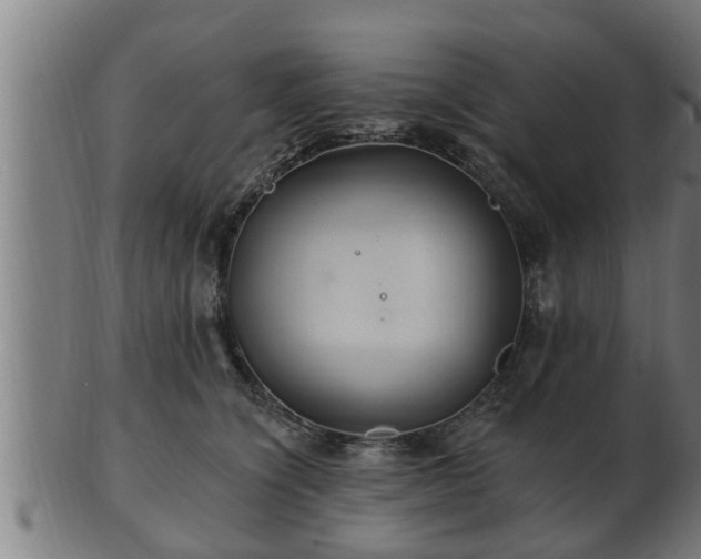 X0000103320564200809121150