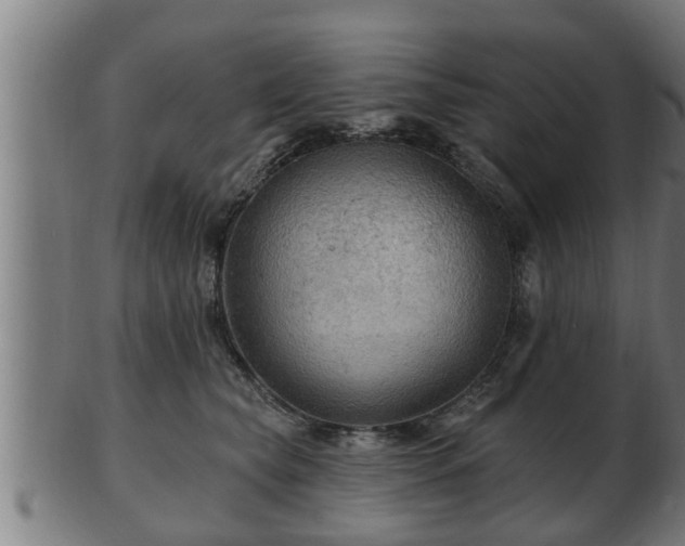 X0000103320565200809121150