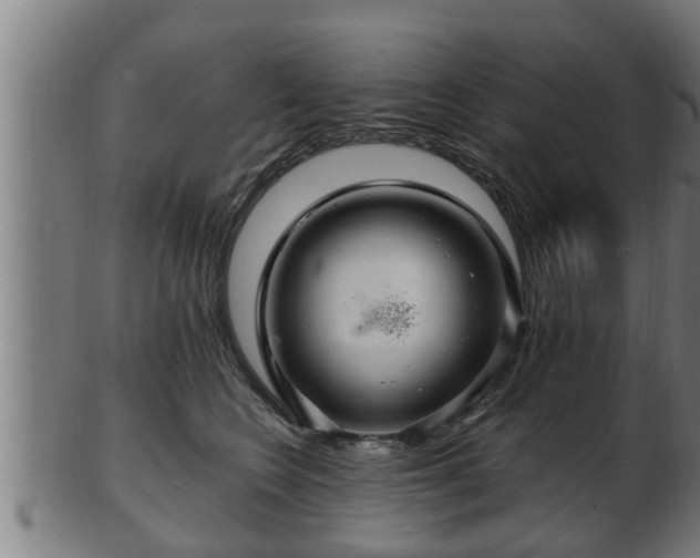 X0000103320566200809121150