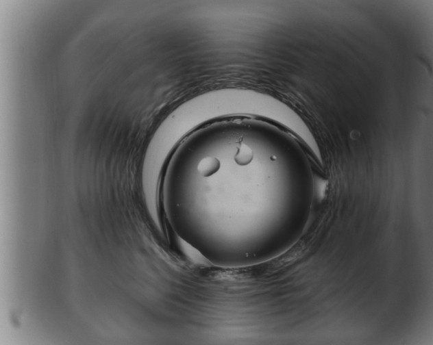 X0000103320568200809121150