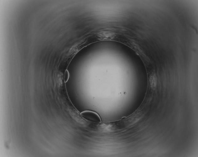 X0000103320570200809121150