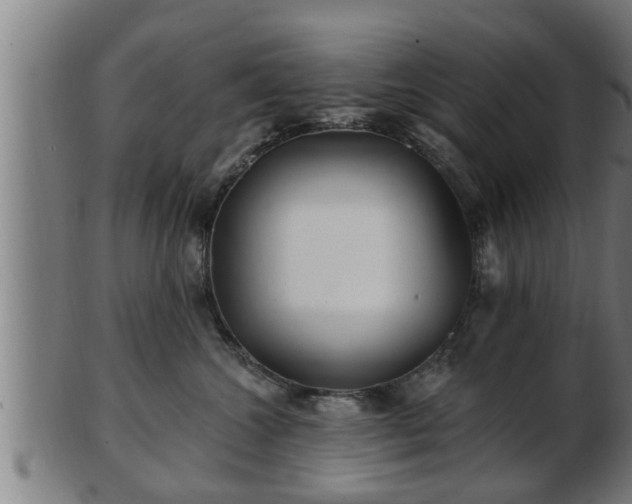 X0000103320572200809121150