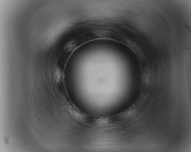 X0000103320574200809121150