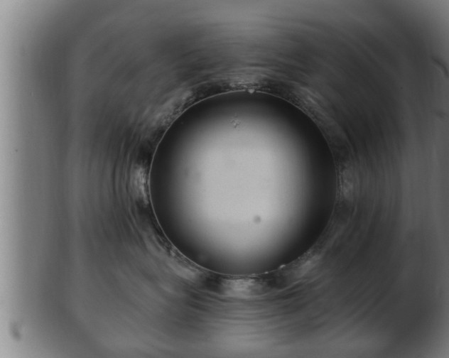 X0000103320575200809121150