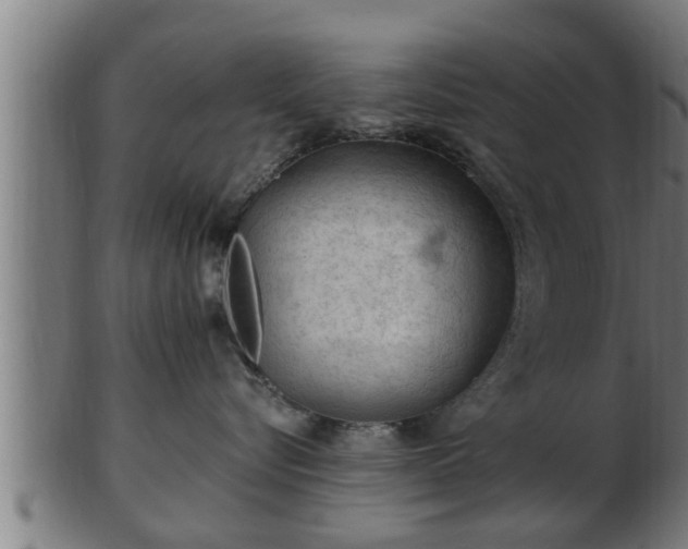 X0000103320576200809121150