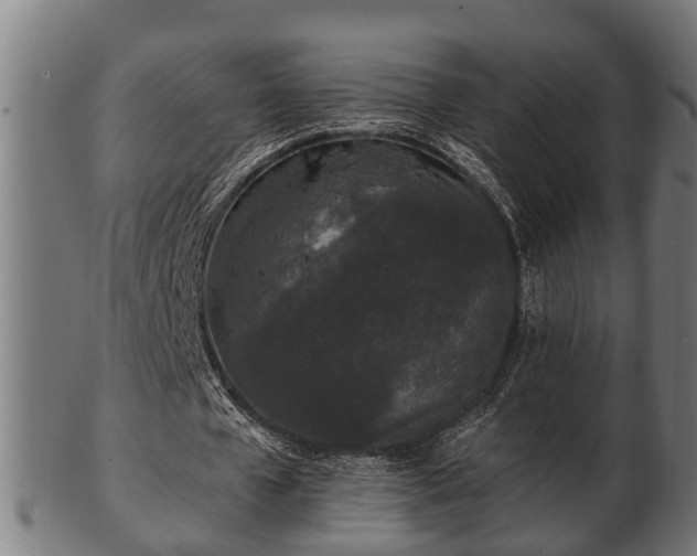 X0000103320577200809121150