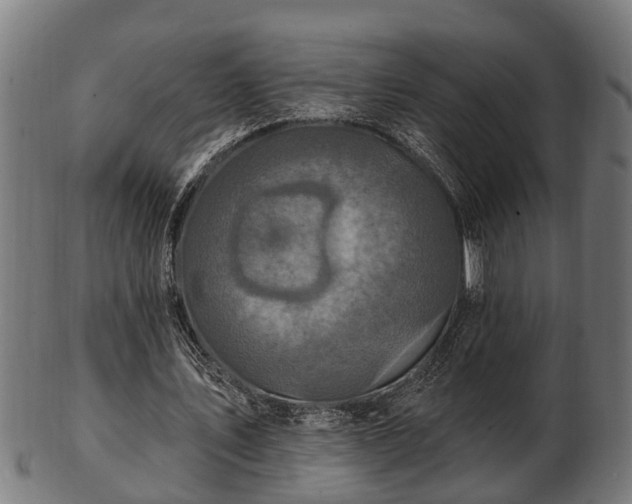 X0000103320579200809121150