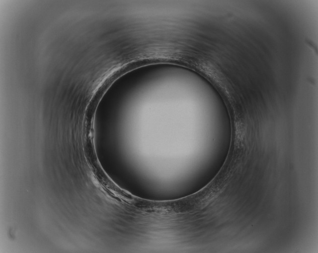 X0000103320580200809121150