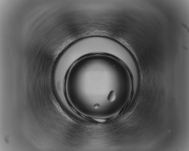 X0000103320581200809121150