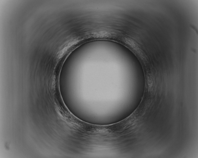 X0000103320583200809121150