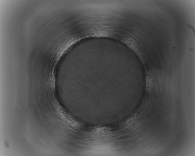 X0000103320584200809121150