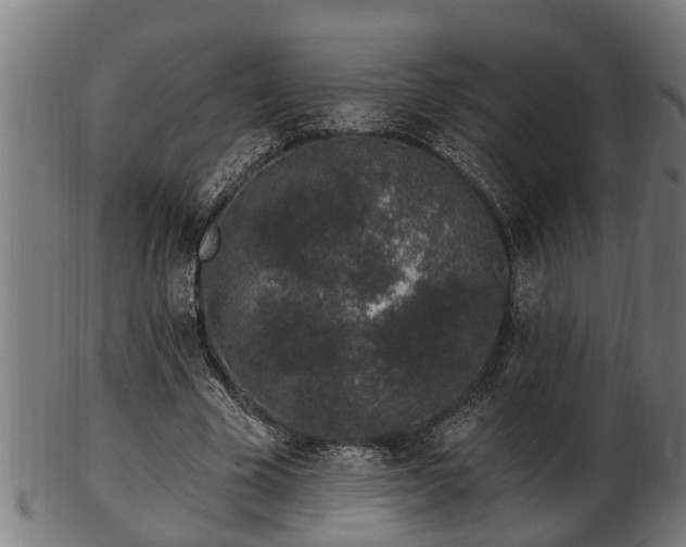 X0000103320585200809121150