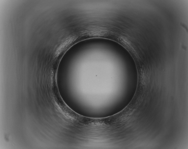 X0000103320586200809121150