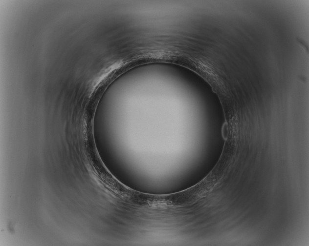 X0000103320587200809121149