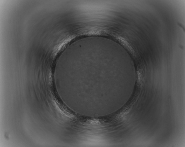 X0000103320588200809121149