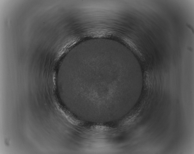 X0000103320590200809121149