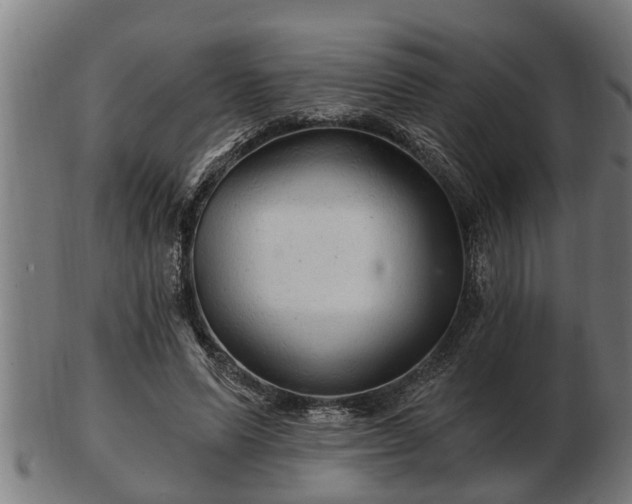 X0000103320591200809121149