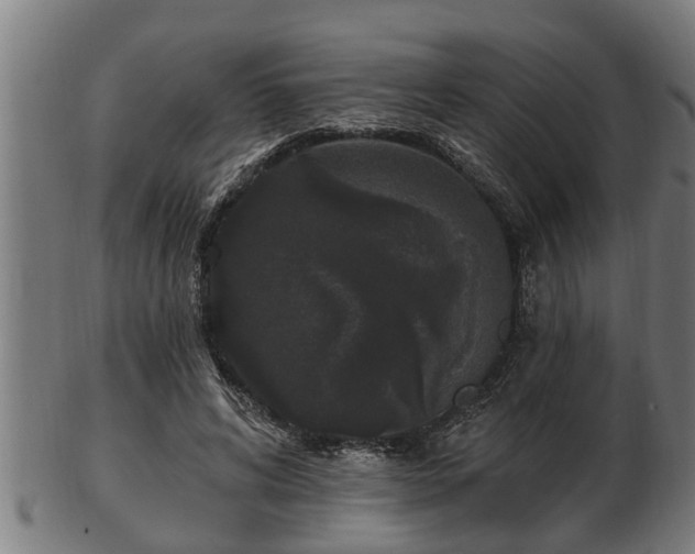 X0000103320592200809121149