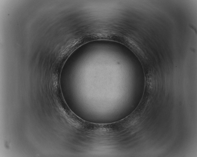 X0000103320593200809121149