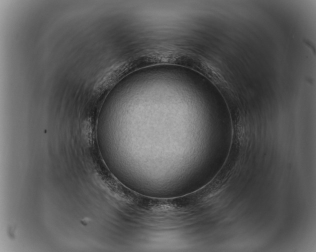 X0000103320594200809121149