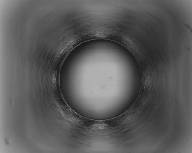 X0000103320595200809121149