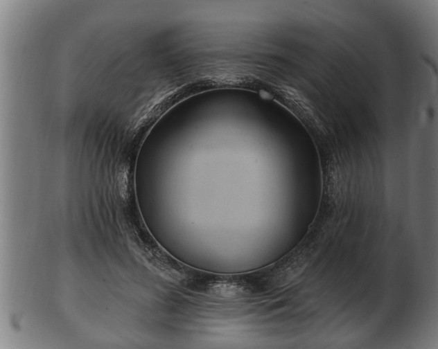 X0000103320596200809121149