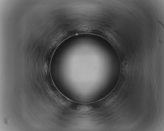 X0000103320597200809121149