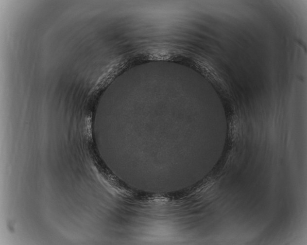 X0000103320598200809121149