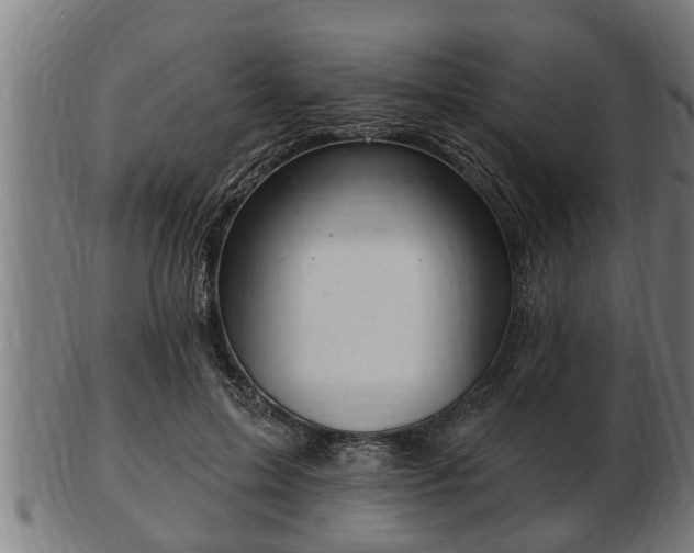 X0000103320599200809121149