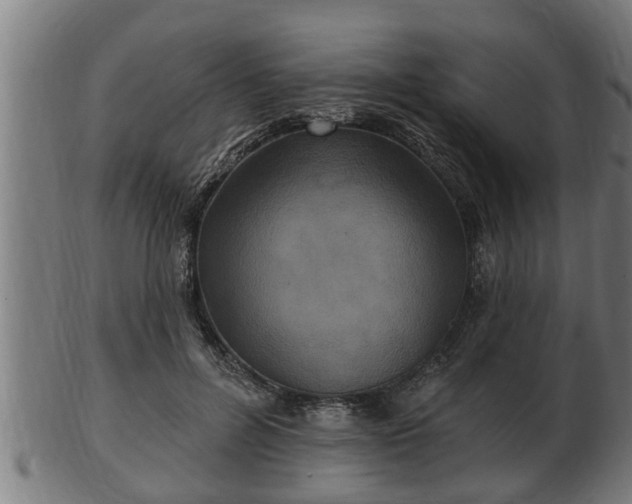 X0000103320600200809121149