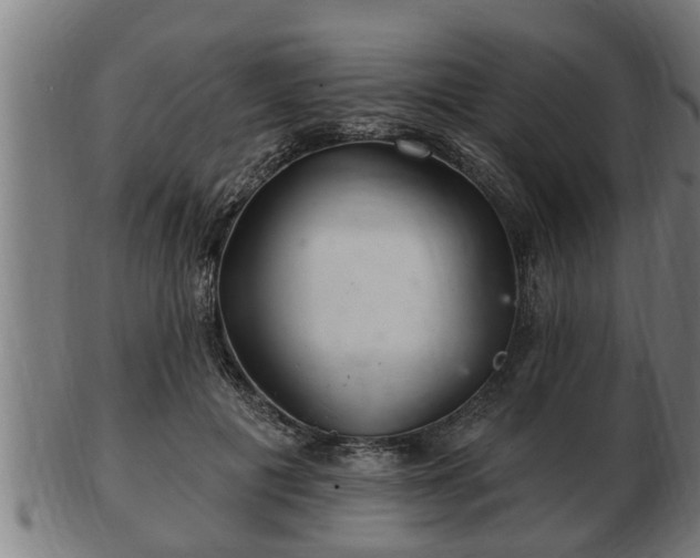 X0000103320601200809121149