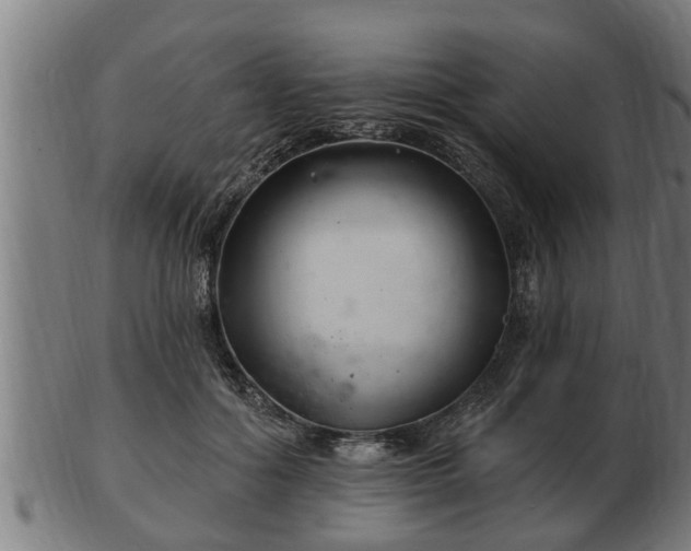 X0000103320602200809121149