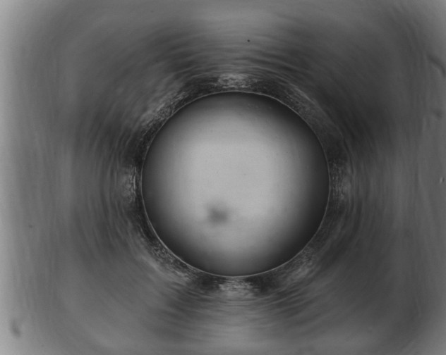 X0000103320603200809121149