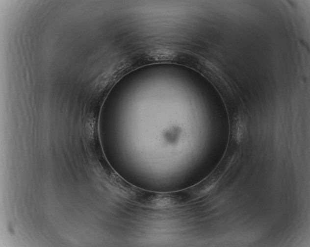 X0000103320604200809121149