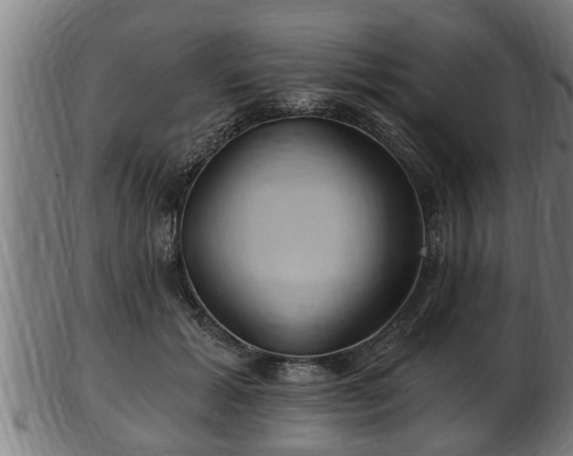 X0000103320605200809121149