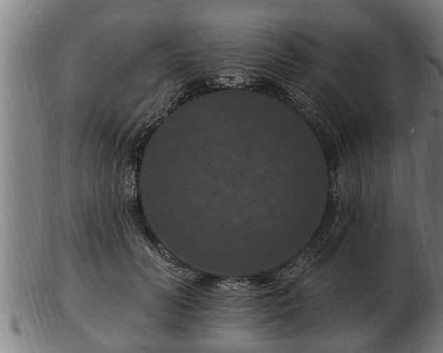 X0000103320606200809121149