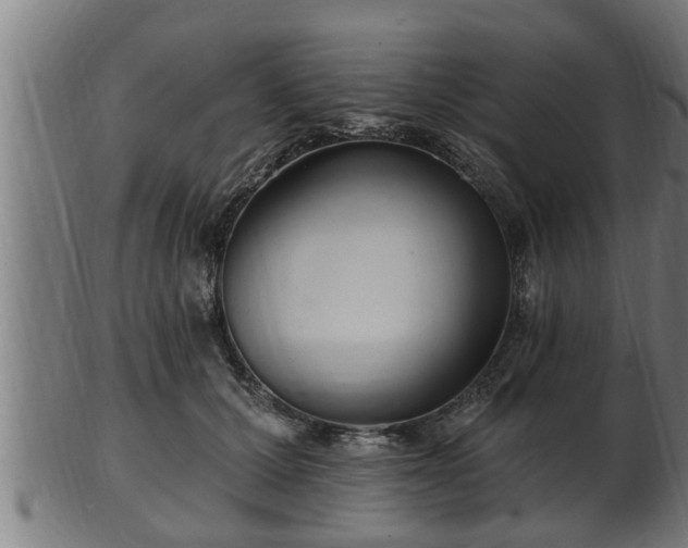 X0000103320607200809121149