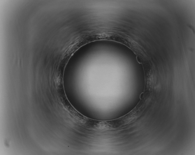 X0000103320608200809121149