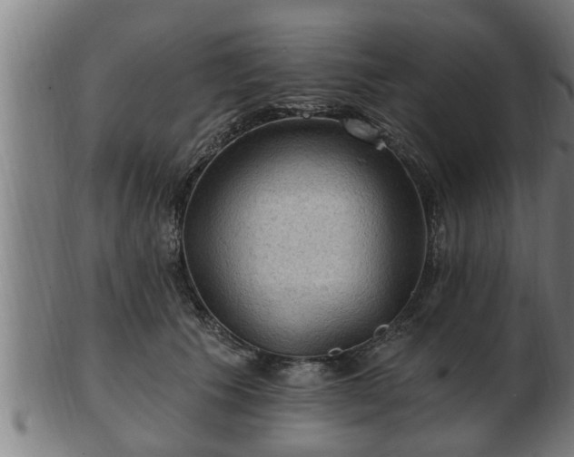 X0000103320609200809121149